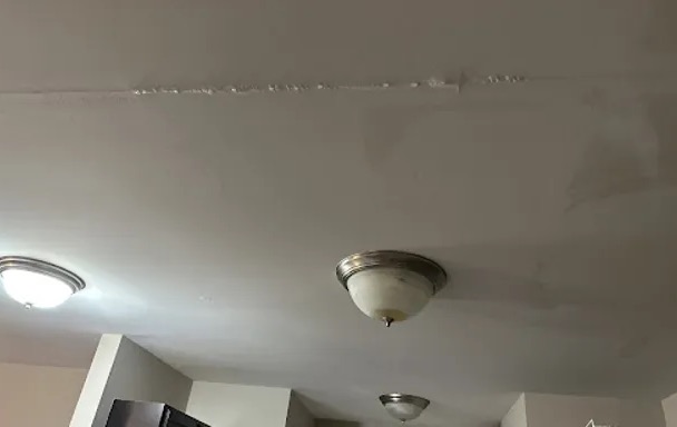 Ceiling Water Extraction in Seneca, MO