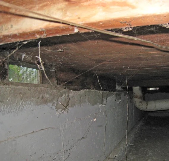 Crawl Space Water Damage Repair in Noel, MO