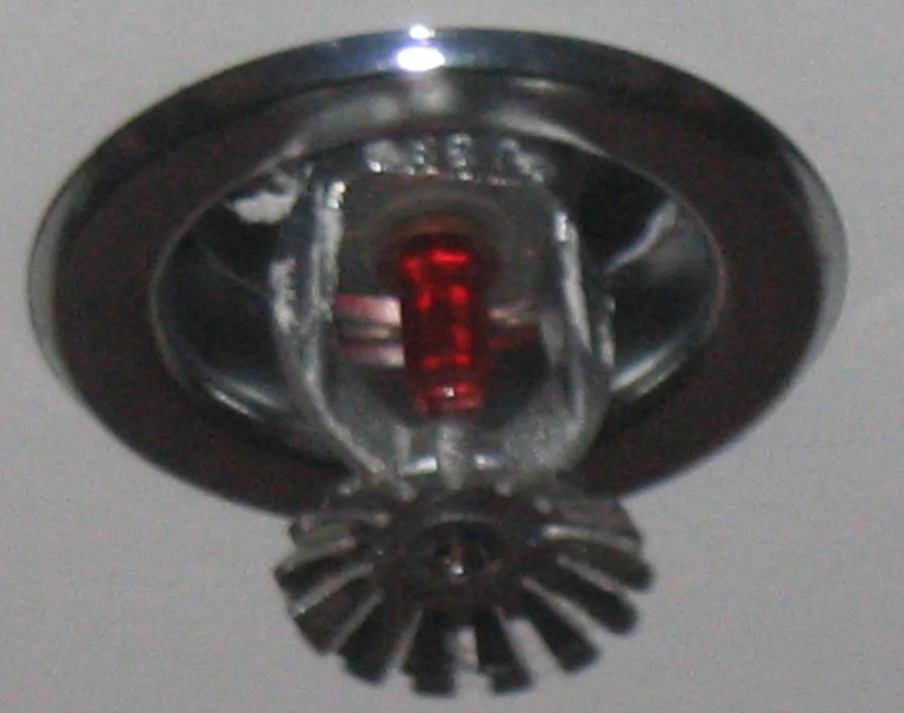 Fire Sprinkler Cleanup in Rogers, AR