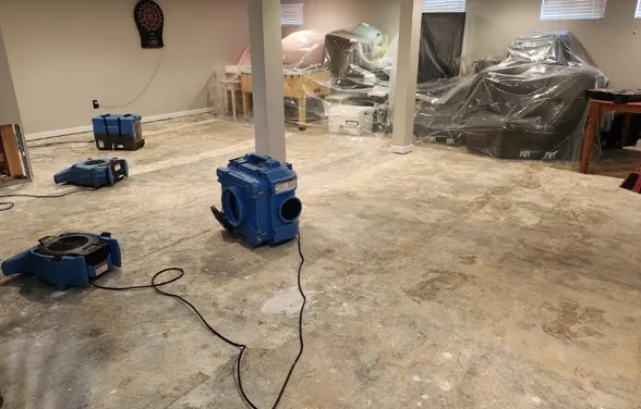 Moisture Detection Services in Nevada, MO